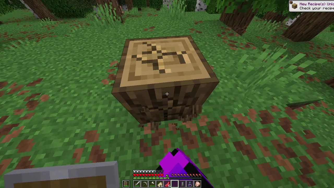 The Minecraft Multiplayer Survival Series You Can’t Miss