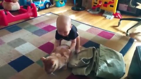 CATS or BABIES？ Which are most Cute and Funny？ - Try Not To Laugh Challenge