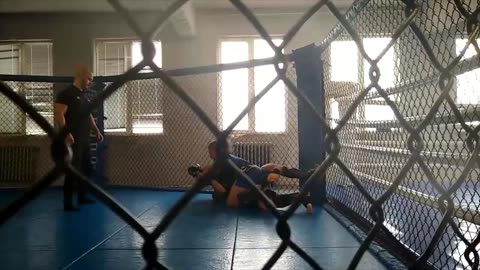 27.11.2025 BFMMA Pet