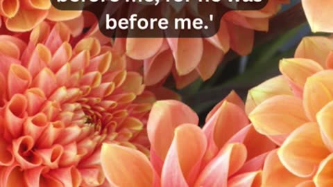 Journey of faith and spiritual growth John 1:30 Daily Bible Verse