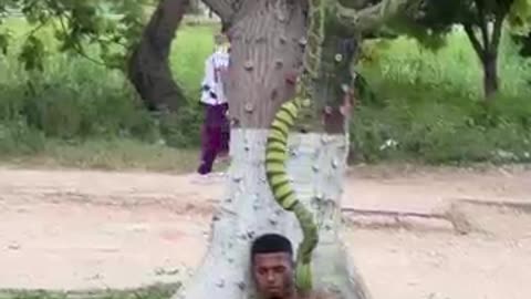SNAKE PRANK