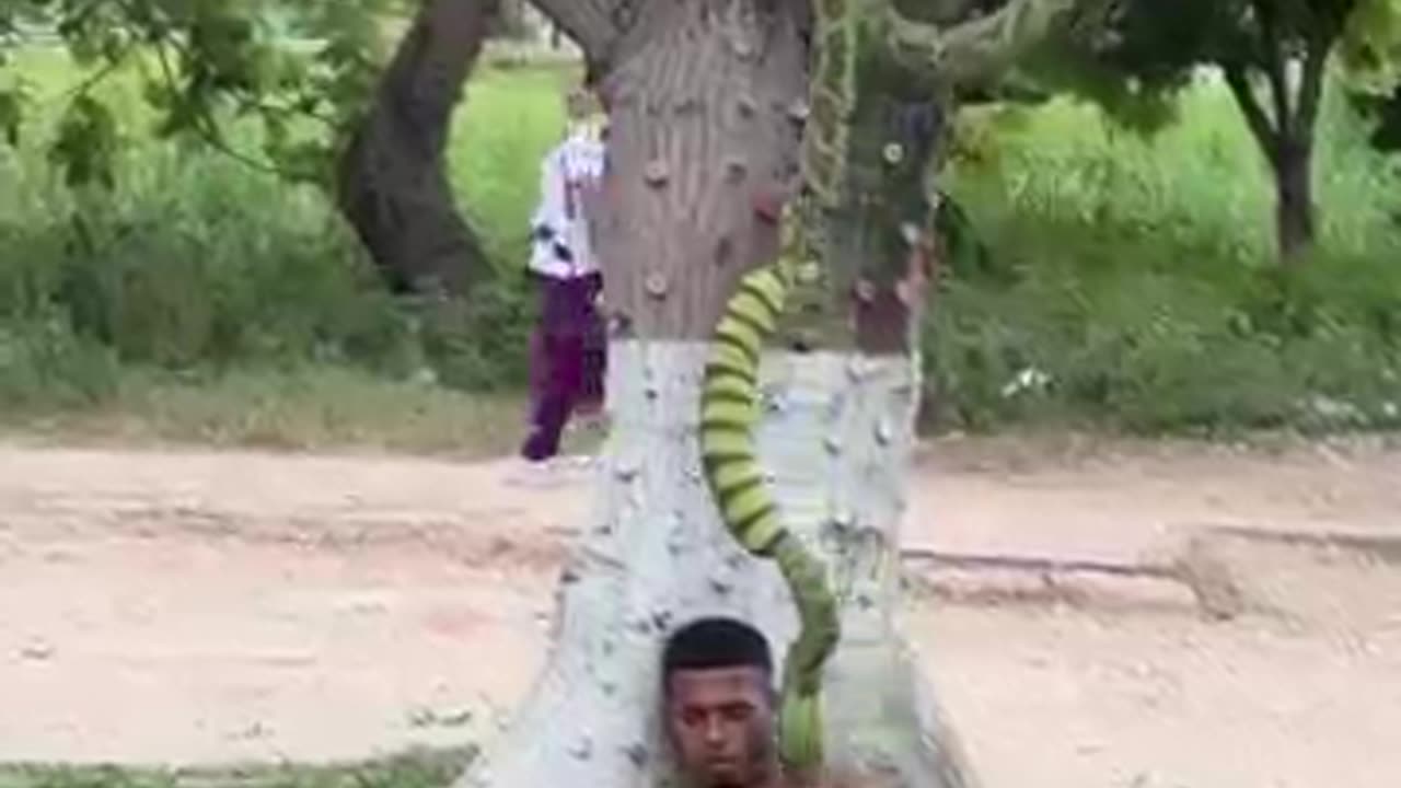 SNAKE PRANK