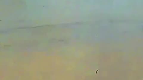 🚨Terrifying Moment when Flash Flood Struck Texas🤯