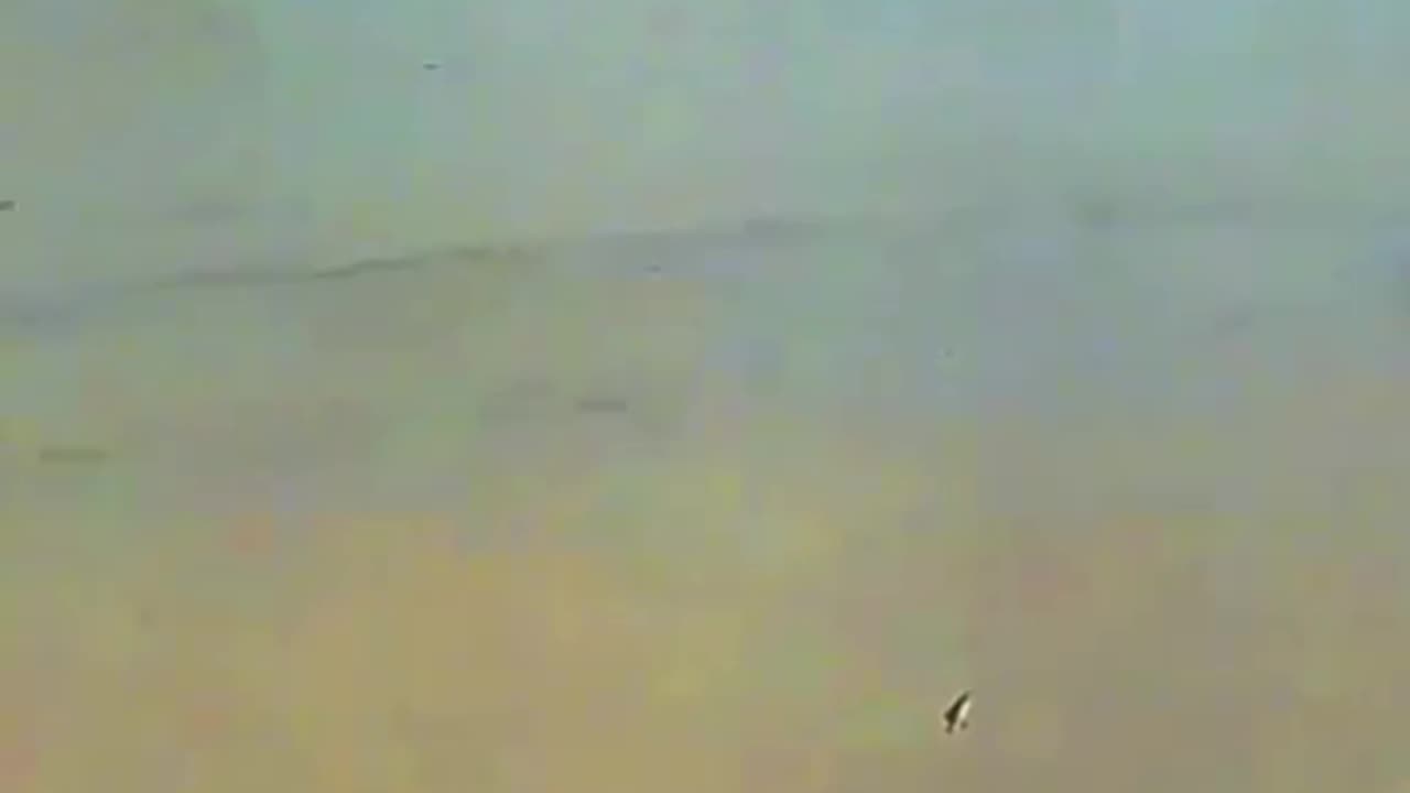 🚨Terrifying Moment when Flash Flood Struck Texas🤯
