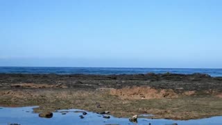 Flat Earth - Nikon p1000 proofs no curvature at all