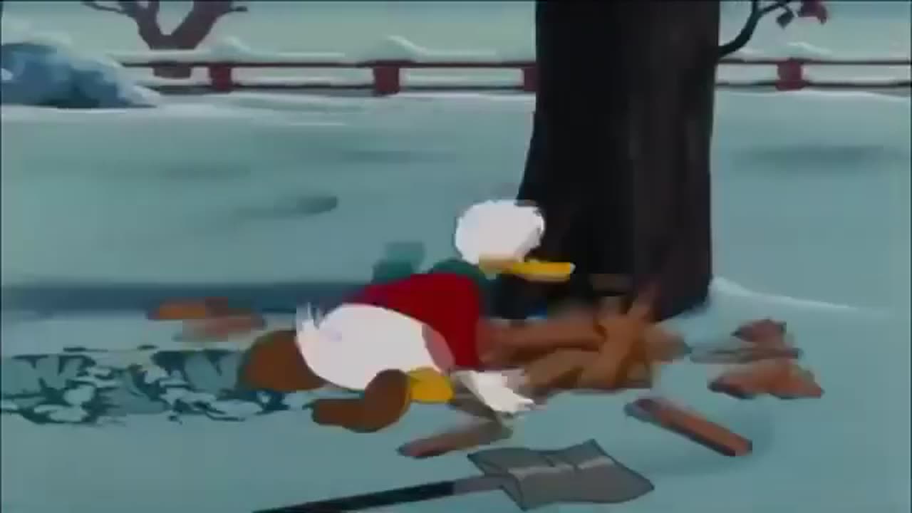 Donald Duck Cartoon