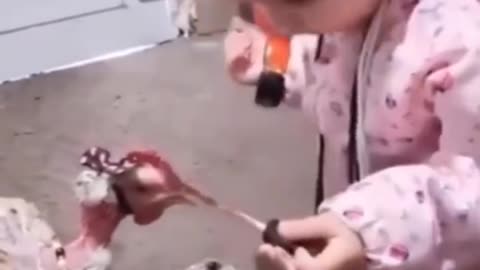 Funny kids