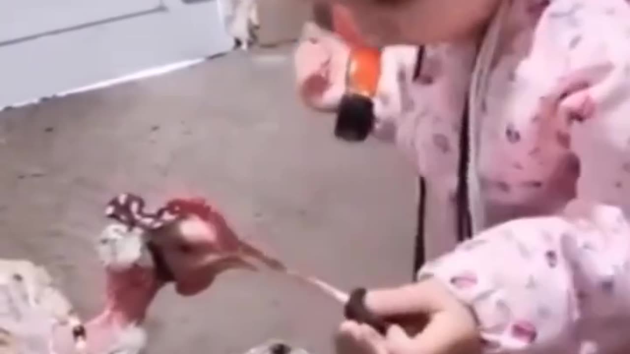 Funny kids