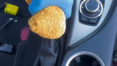 I just deep cleaned BMW X1