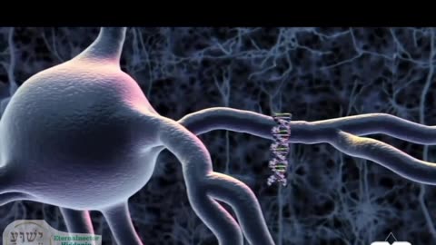 COVID-19 vaccine is an experimental gene therapy drug(666 mark). Humans are the test subjects