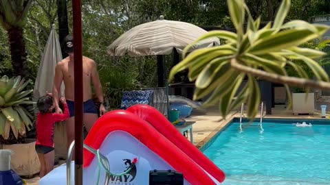 Yorkie Loves Playing on Inflatable Waterslide