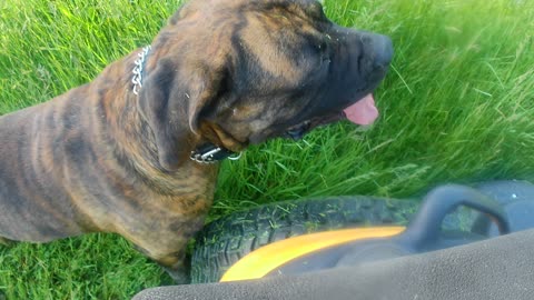 Otto and the Tractor