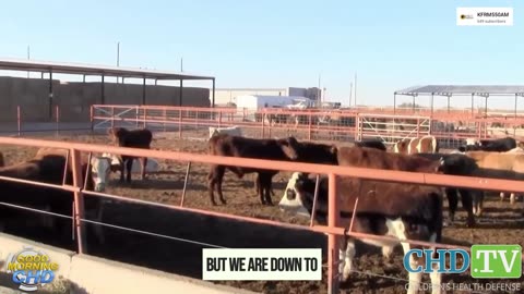 “We’ve got to stop criminalizing food production…"