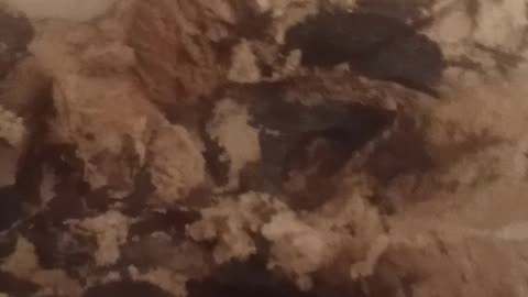 ICE CREAM REVIEW: OUR FAMILY CHOCOLATE MOOSE TRACKS