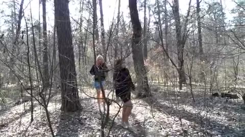 Crawdads in the Woods