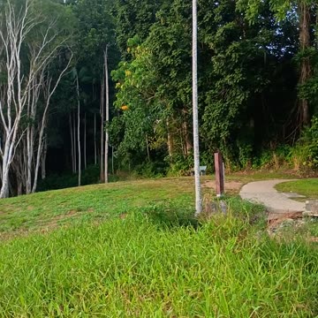 24.7.2025 Barron River Esplanade, Kuranda