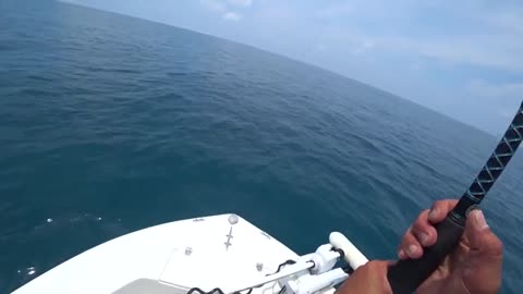 pesca a pesci grossi o big 1e squalo martello_part19