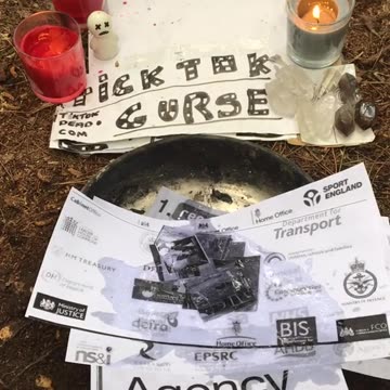 Tim Rifat TikTok Videos