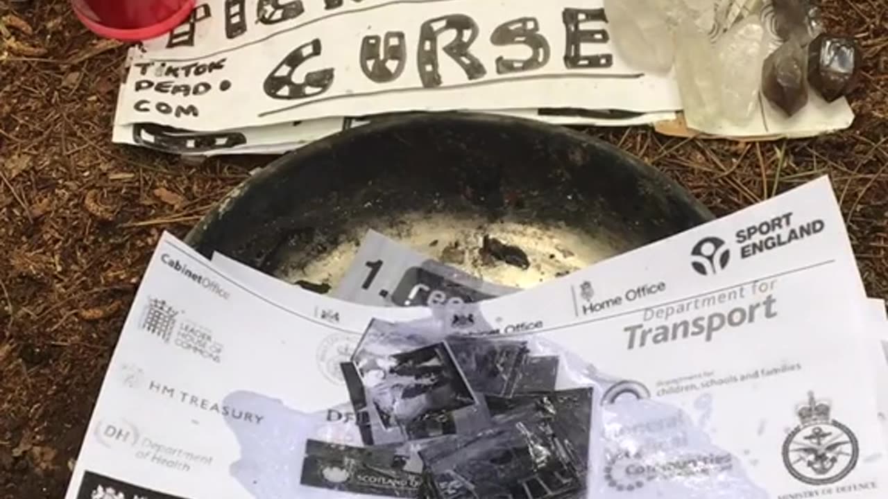 Tim Rifat TikTok Videos