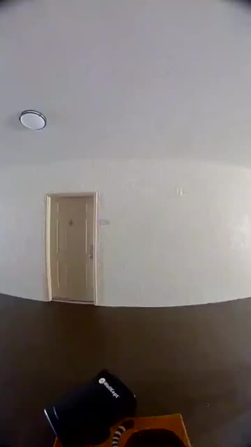 Here comes diversity