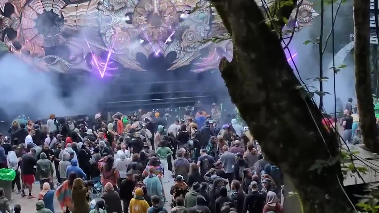 Modem Festival 2025 clip