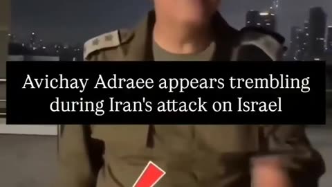 'Trembling hand' of IDF Arabic spox