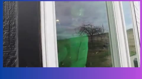 Rubber Ducky Surprises Frog & Puppy with Car Ride Chase