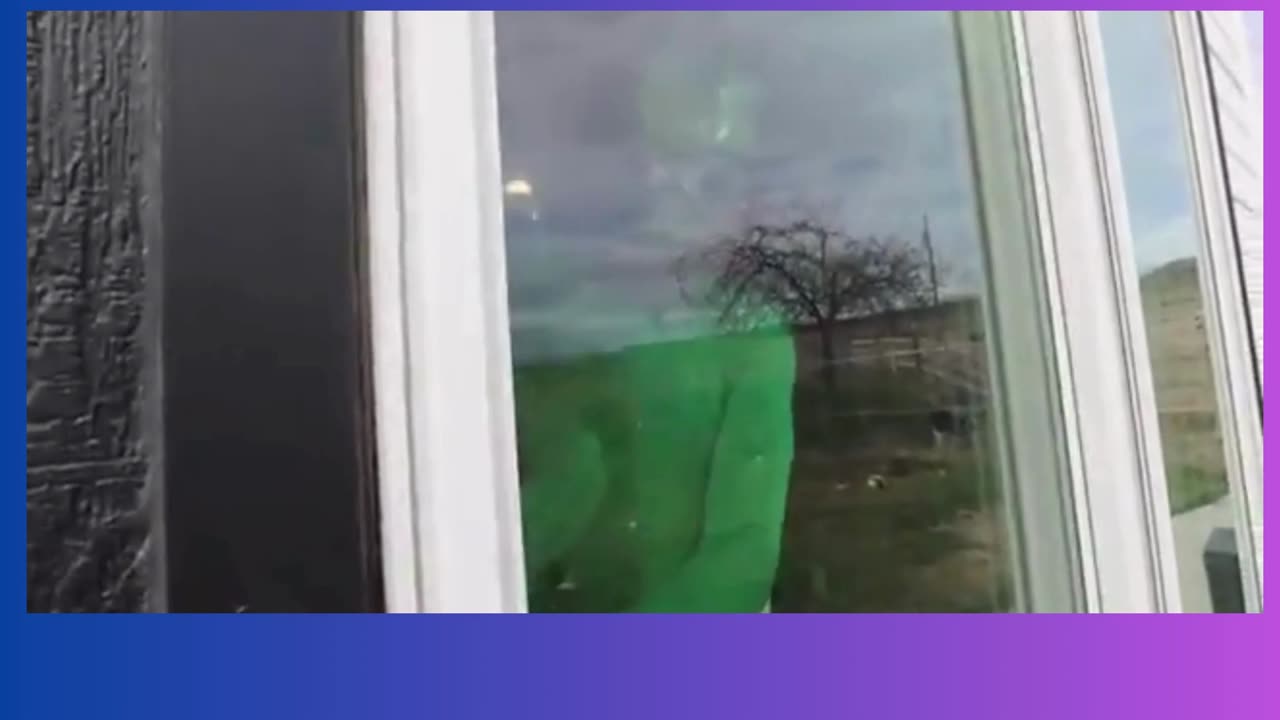 Rubber Ducky Surprises Frog & Puppy with Car Ride Chase