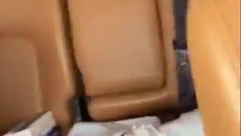 Animals Funny Video 😂