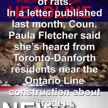 Toronto takes one step toward plan to tackle growing rat population