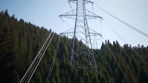 Trump BEGS Electricity, Canada SHUTS the DOOR – $78 Billion U.S. Industry Collapse!