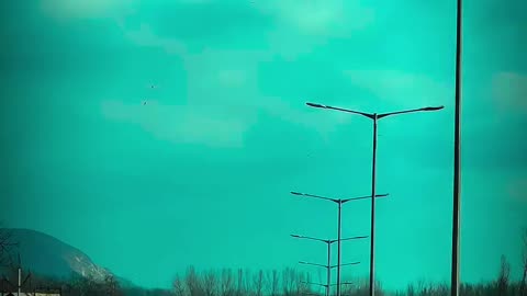 viral