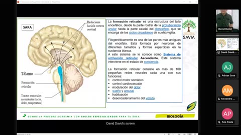 SAVIA SEMIANUAL 2024 | Semana 14 | Anatomía