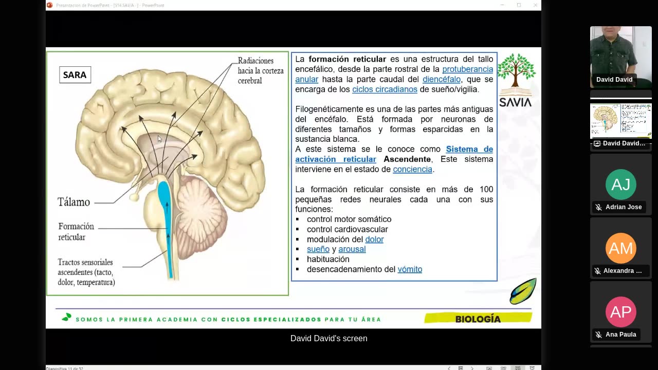SAVIA SEMIANUAL 2024 | Semana 14 | Anatomía