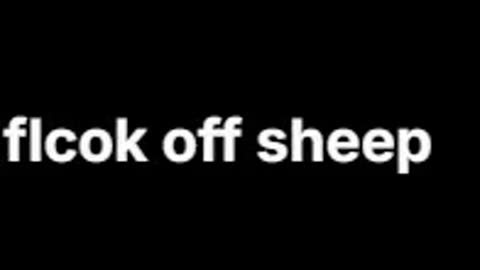 flcok off sheep 1