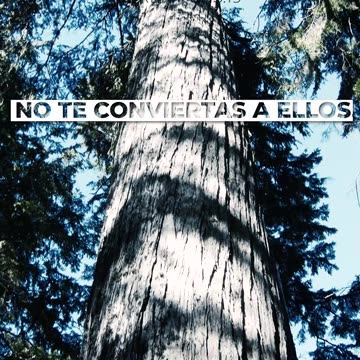 JEREMIAS 15 19 #jesus #trinitas #cristo #yeshua #adoracióninstrumental #músicacristiana