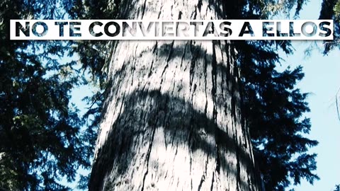 JEREMIAS 15 19 #jesus #trinitas #cristo #yeshua #adoracióninstrumental #músicacristiana