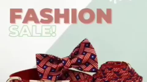Adorable Dog Collar with Bow for Stylish Pet Looks | CurliTail