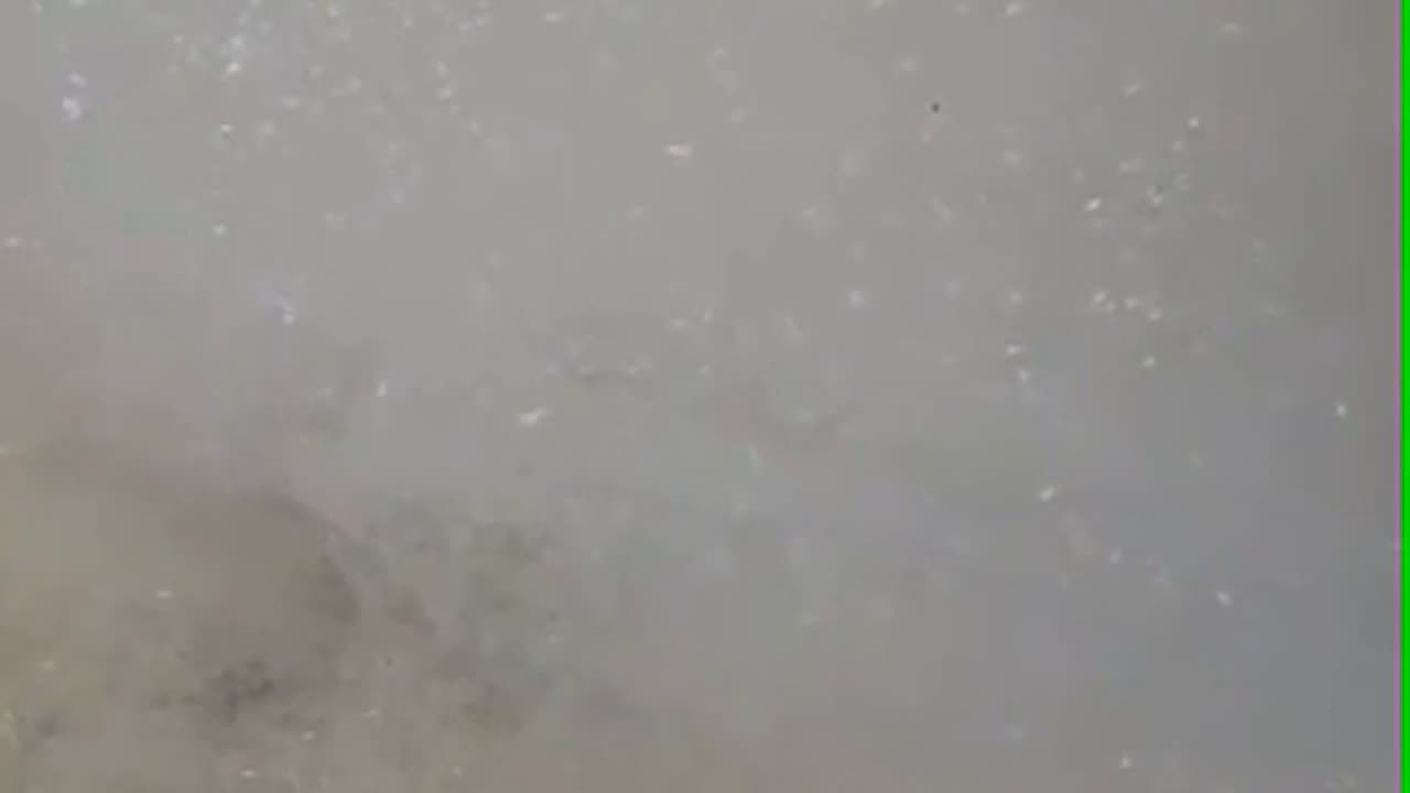 dish cleaning device