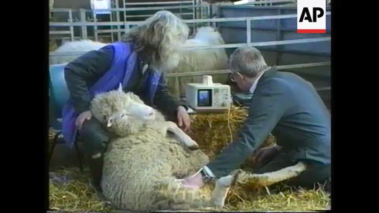 Human Cloning In Canada Exposed