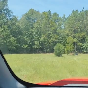 My land and relaxation spot