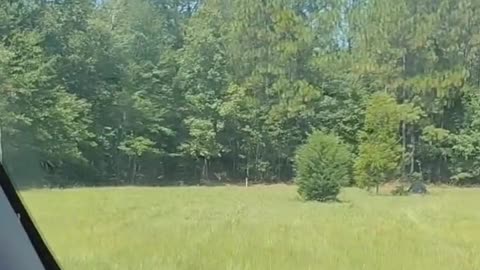 My land and relaxation spot