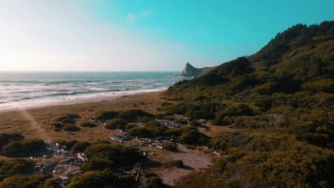 Flying Above the Shoreline 🌊🏖 | Sounds of Nature