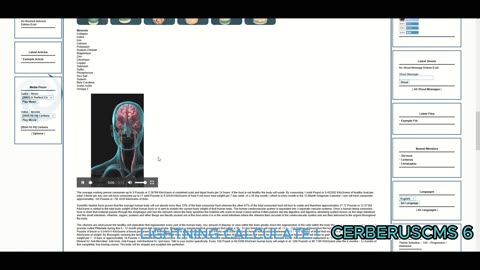 [2025] CerberusCMS - 6 - SVD - Application - Lightning Calculate ! - Video File Part - 04 OF 10