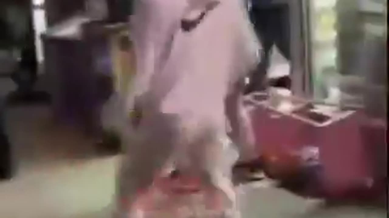 Mexican and Black Student Fight Escalates as Others Join In | School Violence & Prevention