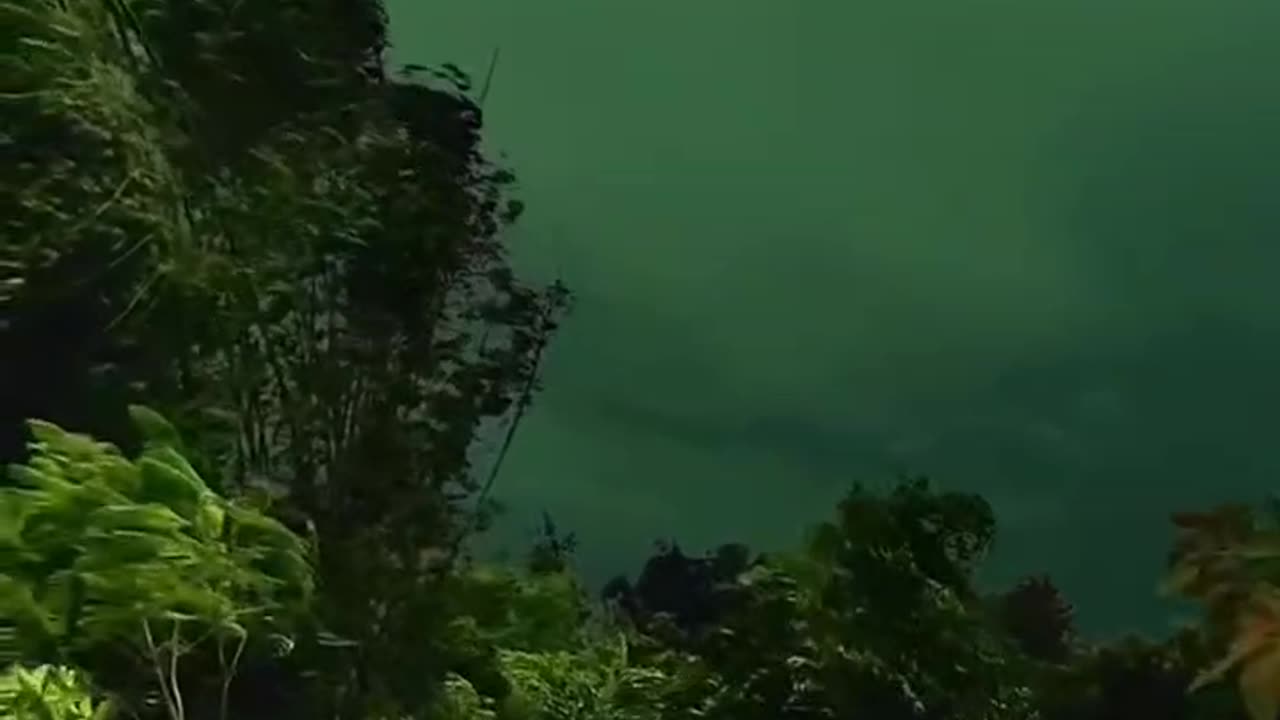 Nature heal your soul.