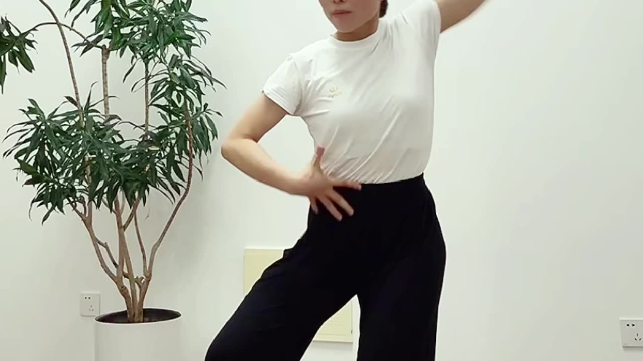 911.虛步結構力