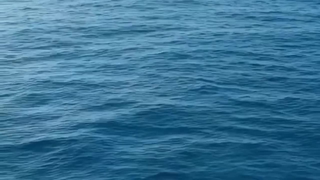 The Day Grandma Became a Hero