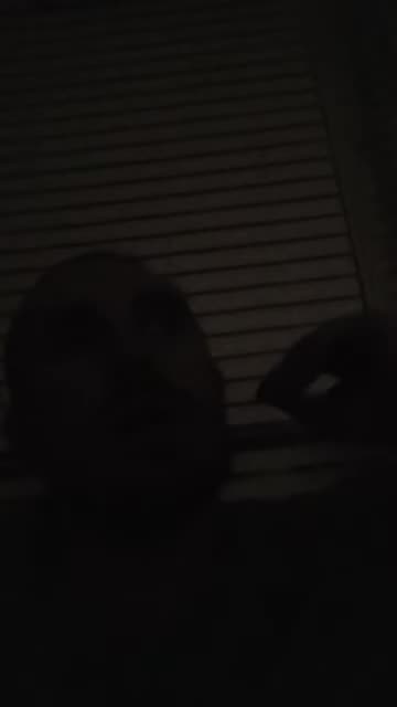 Daily Meditation： Day 83 ~ Chi Charging