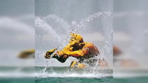 Flash information...